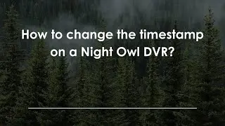 How to change the timestamp on a Night Owl DVR?