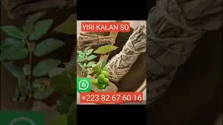 YIRI KALAN SO _ GAOUSSOU DOUCOURE