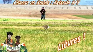 J'irai chasser chez vous : Chasse en Su&egrave;de &eacute;pisode 3; chasse au li&egrave;vre !