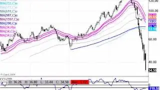 How to use the Forex Market Pulse