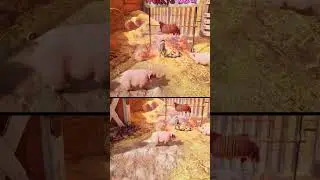 Split Fiction | Pig&rsquo;s Side Quest EPIC Fail! 🐖💥
