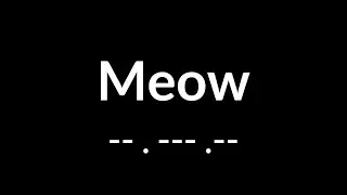 Meow in Morse Code