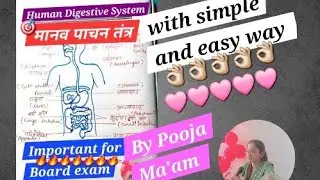 How to draw Human Digestive System with easy and Simple way? #boardexam #biology #easy #class10 &hearts;️&hearts;️