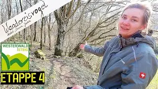 WesterwaldSteig Etappe 4: Von Rennerod über Seck, die Holzbachschlucht und Winnen nach Westerburg