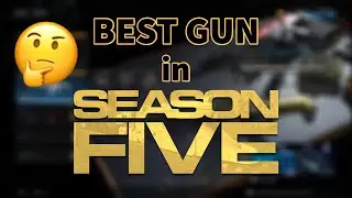 BEST GUN IN SEASON 5?! (Modern Warfare Warzone)