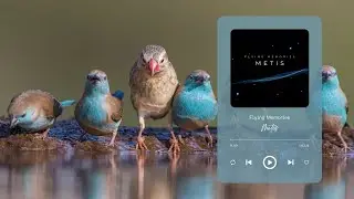 BIRDS & RELAXING MUSIC I HARMONY I 1 HOUR I Flying Memories - Metis