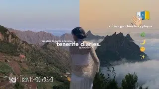 nuestra llegada a tenerife, asentándonos y descubriendo guachinches