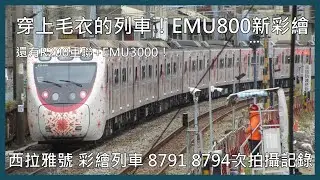 【剪輯紀錄 西拉雅號】穿上毛衣的列車！EMU800新彩繪！還有R200重聯+EMU3000！西拉雅號 彩繪列車 8791次、8794次、8785次 拍攝記錄 | 2024年1月23日