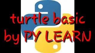 Turtle basics part 1 by py learn