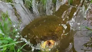 Falling Coconut into Water Ultra Clrar Slow Motion Video 