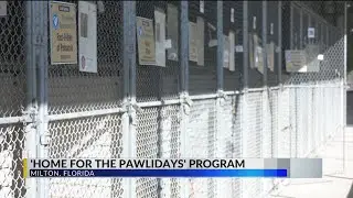 How to give a shelter pet a 'Home for the Pawlidays' in Santa Rosa County
