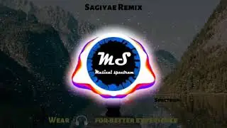 Sagiyae Remix | Dj Vim | Musical Spectrum