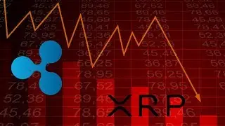 xRapid Is Live But Price Is Dropping? Why?