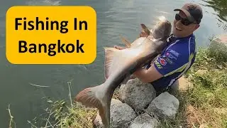 Fishing in Thailand Bangkok. Quest for a Mekong Giant Catfish from Bung Buk BKK.