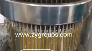Grape seed oil making machine Grapeseed Oil Refining production Line Grape oil processing equipment