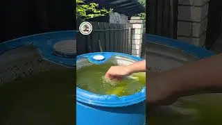People, This Is the Siphon Principle! Trick with a PVC Pipe