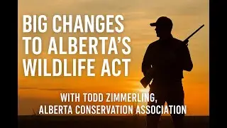 New Wildlife Rules in Alberta: What You Need to Know