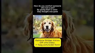With Rainbow Bridge Voices, we create personalized memorial videos where your beloved pet looks into