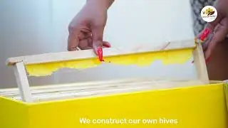 Zortrax Honey Kenya Second honey  Franchise Shop in Kenya Progress. 