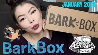 BarkBox UNBOXING | January BarkBox 2018