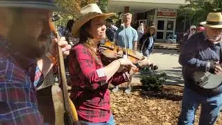 Bluegrass Jammin' at the Tennessee Valley Old Time Fiddler's Convention