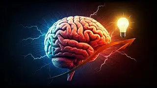 Brain Boosting Workouts for Beginners: The Ultimate Guide