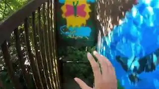 Hiking Richmond Part I - Texas Beach & the North Bank Trails (Richmond, VA)