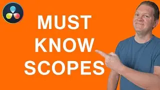 2 color grading SCOPES every beginner should know (DaVinci Resolve color grading)