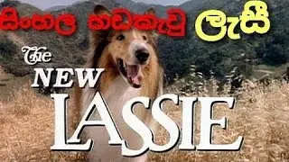 ලැසී සිංහල හඩකැවු 7 | LASSIE SINHALA DUB e(7) 1989