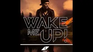 Wake Me Up vs Am I Wrong (Huma Mashup)
