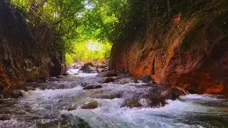 Discover Deep Relaxation: Babbling Brook & Birdsong That Melt Stress Away Instantly 🌌 | ASMR