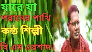 পরানের পাখি প্রেমের দেশে যারে উড়ে  বি এম এরশাদ #Halim Media