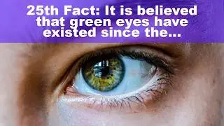 🌎 25 Interesting Facts About Green Eyes