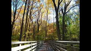 Early Spring March: Oregon Ridge Park MD USA（13555 Beaver Dam Rd, Cockeysville, MD）