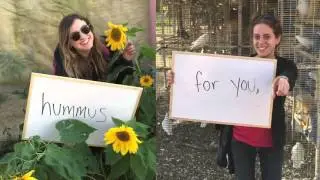 Letters from Israel - Bus 227