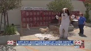 Off-site pet adoptions