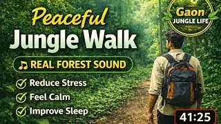 Deep Jungle Exploration | Real Nature Sound | Stress Relief Walk