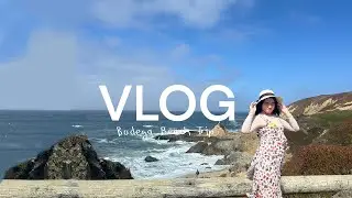 Bodega Bay | Vlog 28 🏖️🌊