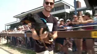 2024 Wiener Dog Races