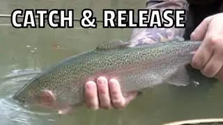 Fly Fishing for Trout with an Indicator/ Keystone Select Waters