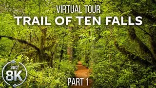 Virtual Hike 360&deg; VR - Forest Walk along the Trail of Ten Falls - 8K Virtual Relaxation - Part 1