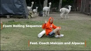 Foam Rolling Sequence