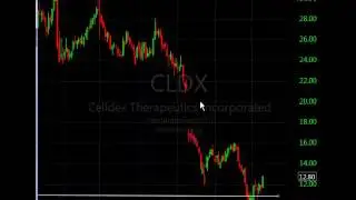 SECTOR ANALYSIS, AIRLINE BIOTECH AAL DAL LUV CLDX BMRN BABA SPY