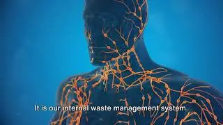 The Unsung Hero: Our Lymphatic System