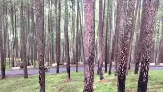 Harkidoon route