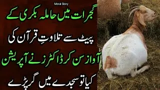 Gujarat bakri ki story | goat waqiaa | hamla bakri ki Kahani | Hindi novels | motivational@Mhnovelz