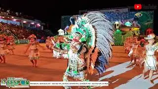 TRANSMISSÃO AO VIVO DO XXIX FESTIVAL DO PEIXE ORNAMENTAL PELO FACEBOOK E YOUTUBE
