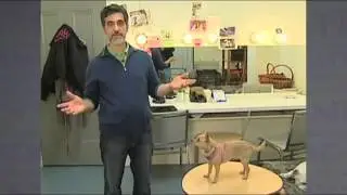 DRAMA 101, INTRODUCTION TO THEATRE, MODULE 1 - Animal Trainer