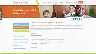The Orange Tree Process | Fast and Easy Background Checks