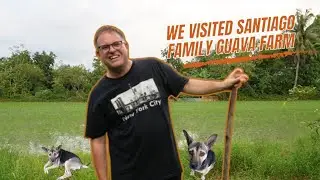 A Family Farm Adventure with our Beloved Guava Farm Dog #oldadventures